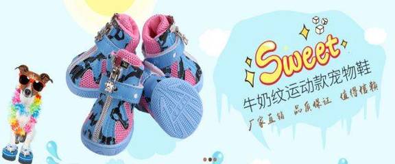 廣州市寵陽寵物用品與本公司正式簽署網站項目合作，開啟運動項目經營新篇章